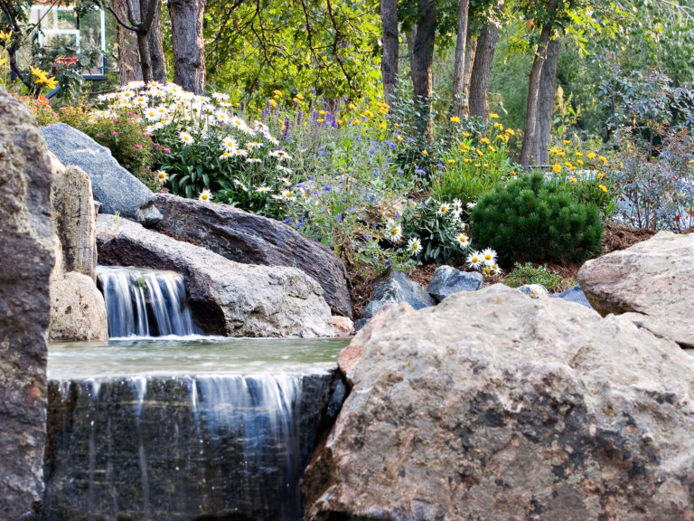 Denver Full-Service Landscape Maintenance – Environmental Designs