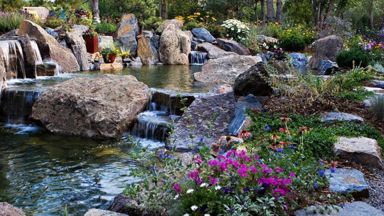 How to Choose the Best Plants for Water Features | Environmental Designs