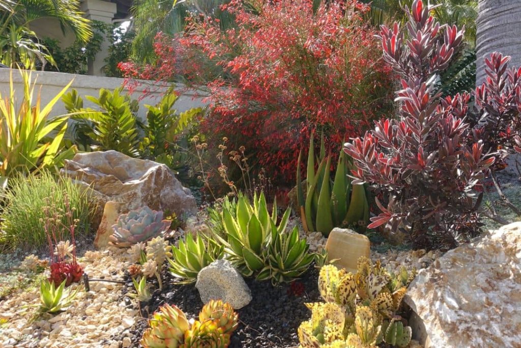 Complete Guide to Colorado Xeriscaping | Environmental Designs