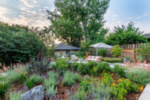 Colorful xeriscape garden in Colorado featuring drought-tolerant plants and natural stone elements.